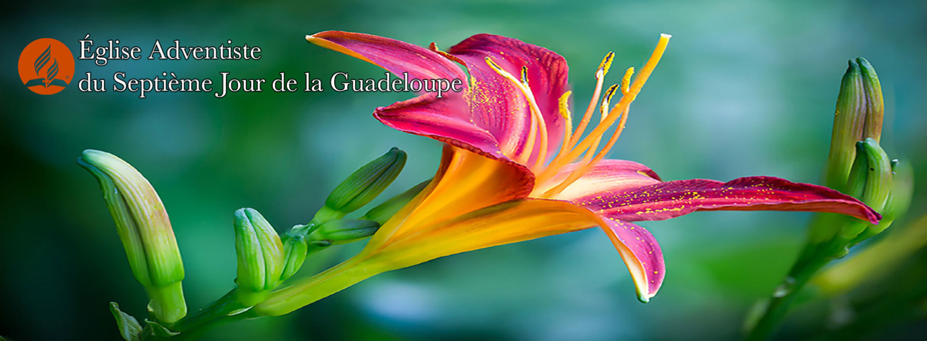 Eglise Adventiste du 7ème Jour de la Guadeloupe